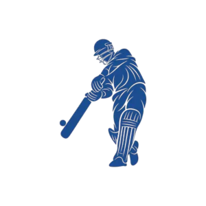 Analyze Previous IPL Matches