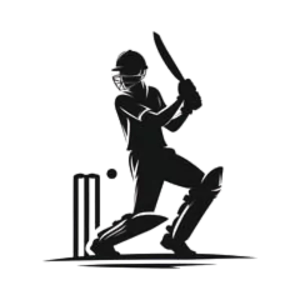 Analyze Previous IPL Matches