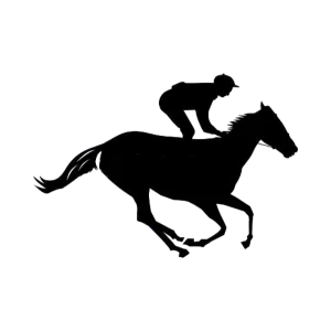 ✅ 2. Study the Racecard Thoroughly