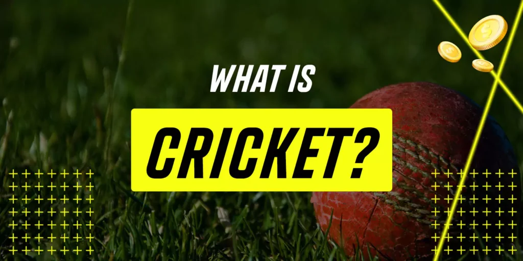 What is Cricket? Complete Guide to Online Cricket Betting in India